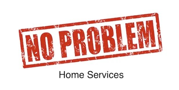 NO PROBLEM HOME SERVICES LL logo